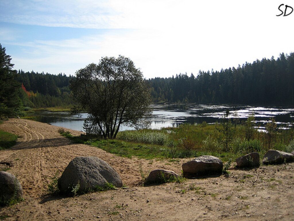 Autors: www.flickr.com