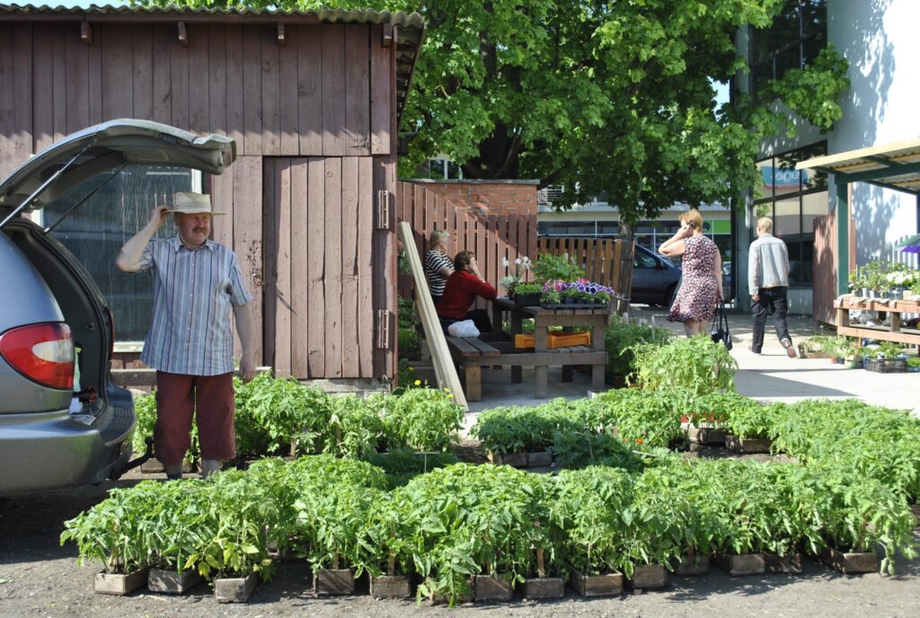 Stādu pārdevēji lielāku aktivitāti  tirdzniecības vietas sakārtošanā Smiltenē tagad vēlas no    privātuzņēmēja.
Autors: Sandra Pētersone