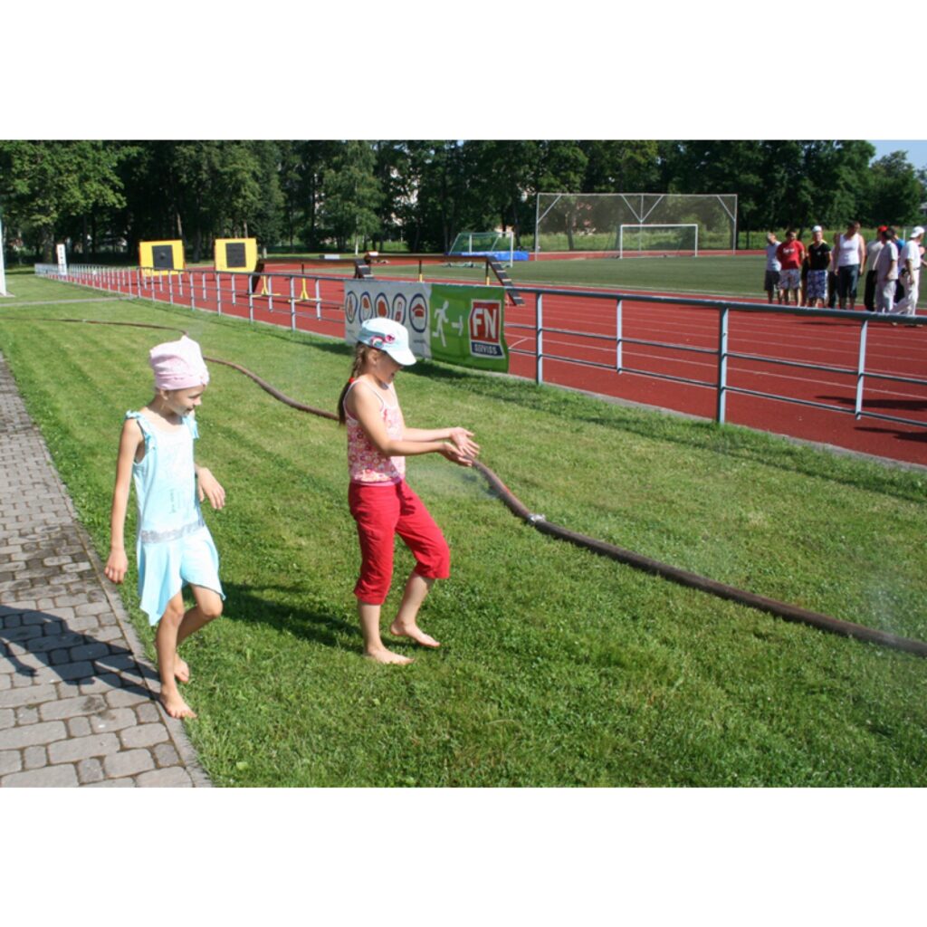 Autors: Aldis Dubļāns