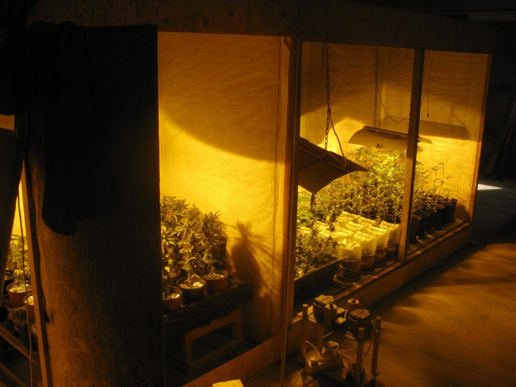 Autors: Vidzemes RPP