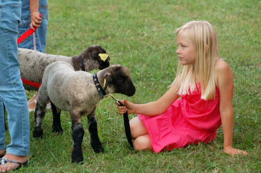 Autors: publicitātes foto