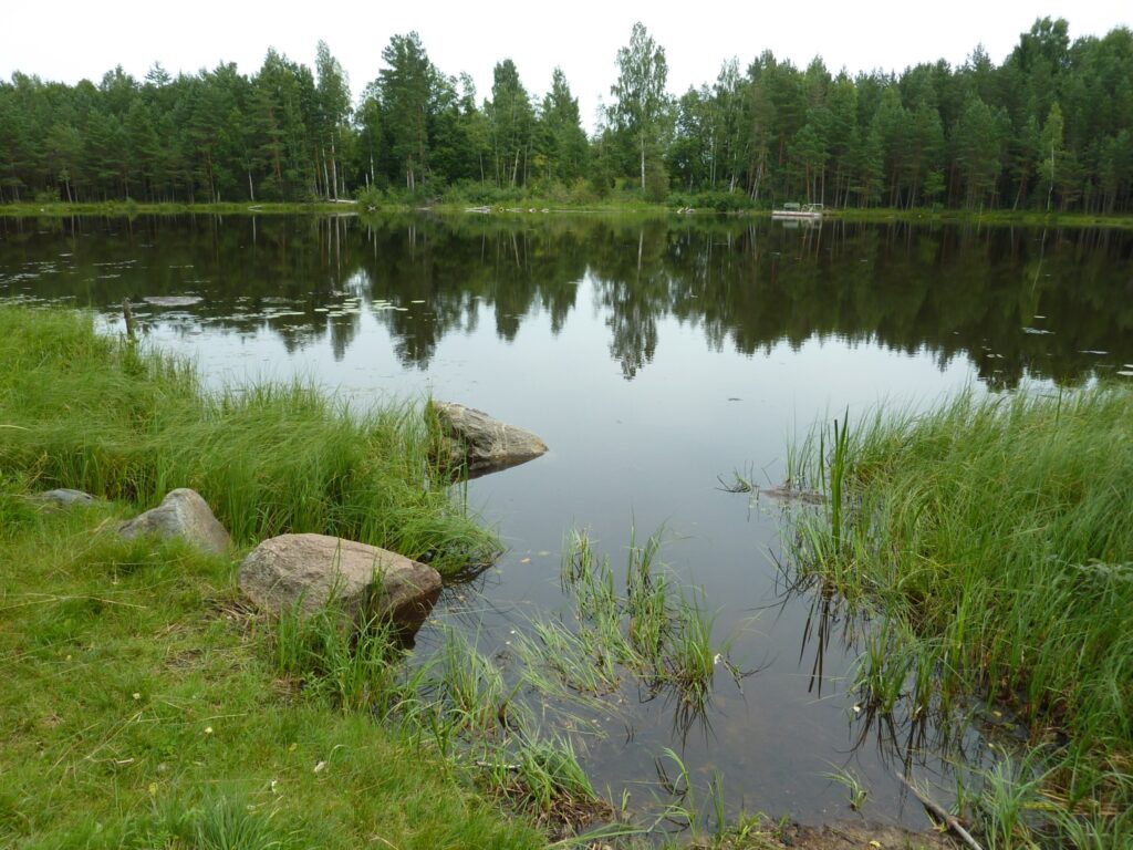 Kur tagad akmeņi un zāle, pirms pāris gadiem vēl bija vaļēja, atklāta, smilšaina vieta - tur 