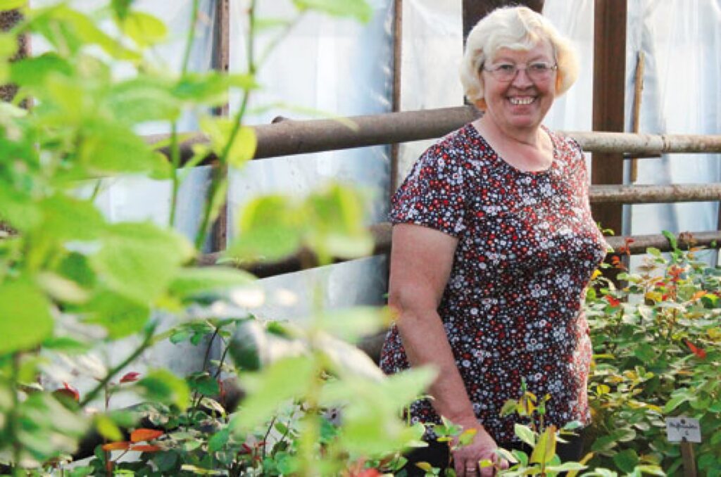 Autors: no žurnāla 