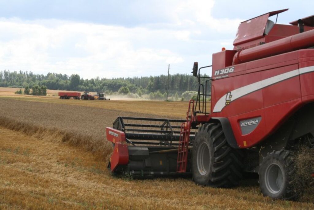 SIA “Valdro Agro” tīrumos kombaini strādā bez pārtraukuma, jo, kā uzskata direktore Māra Bondare-Petersena, katra diena bez nokrišņiem maksimāli jāizmanto. 
Autors: Aivars Zilbers