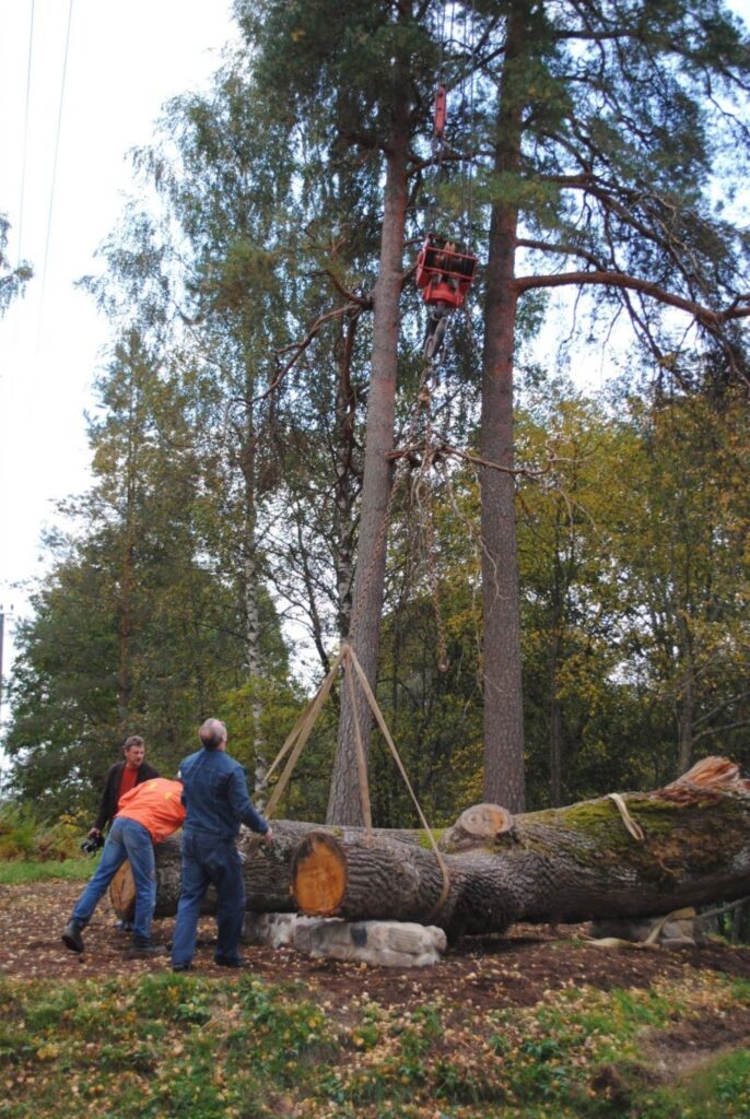 Autors: Sandra Pētersone