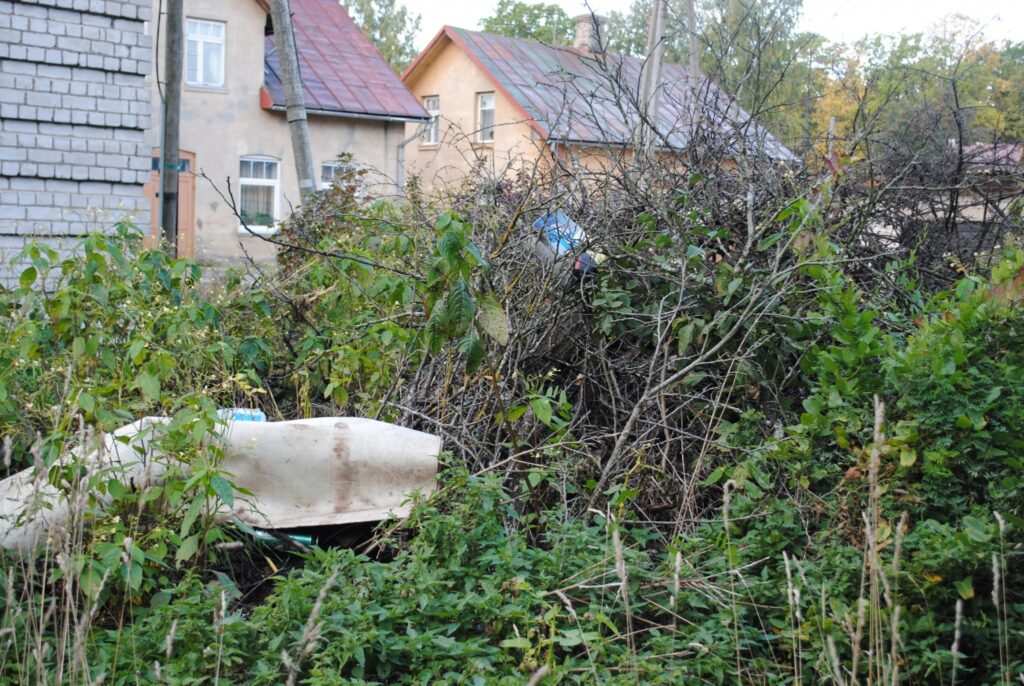 Smiltenē, Mētras ielas malā pie garāžām, izveidojusies nelegālā izgāztuve. Vainīgos, kuri pirmie tur izmeta zarus, neizdodas noskaidrot,. 
Autors: Sandra Pētersone