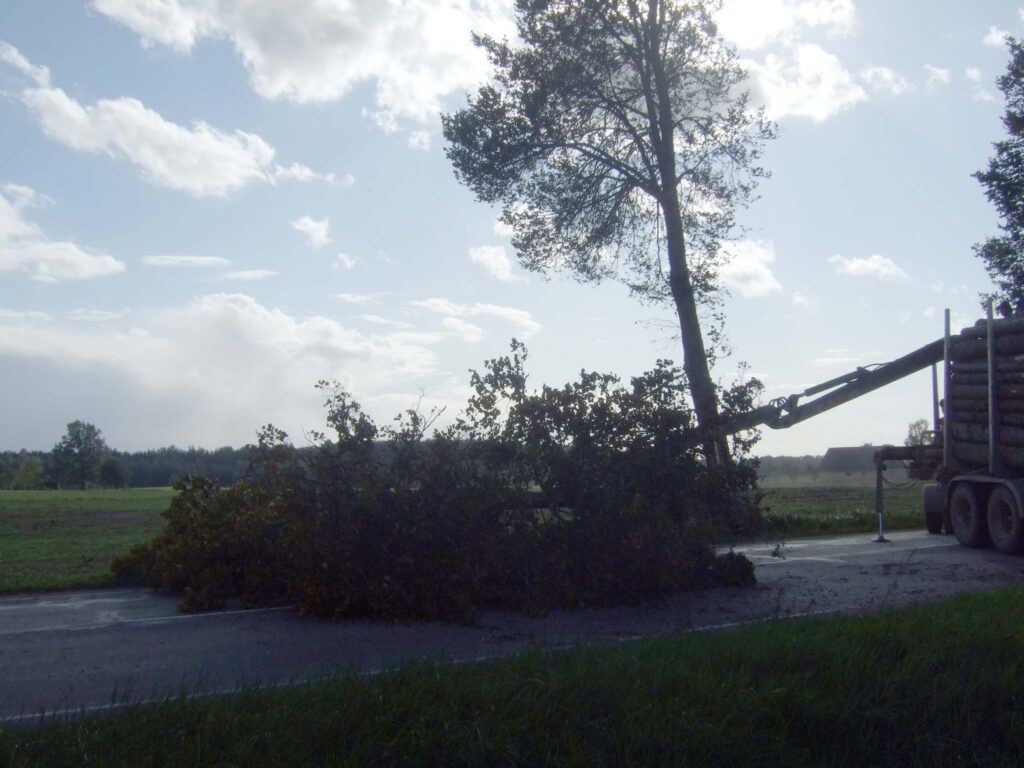 Autors: Māris Stabiņš