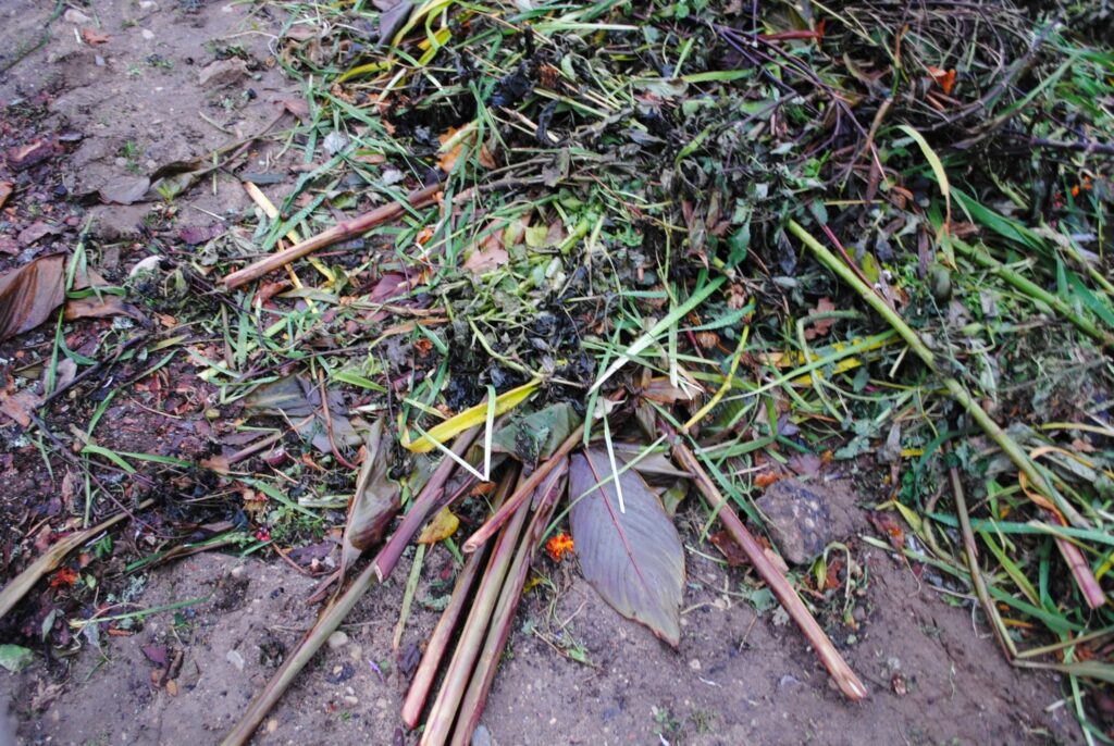 Autors: Sandra Pētersone