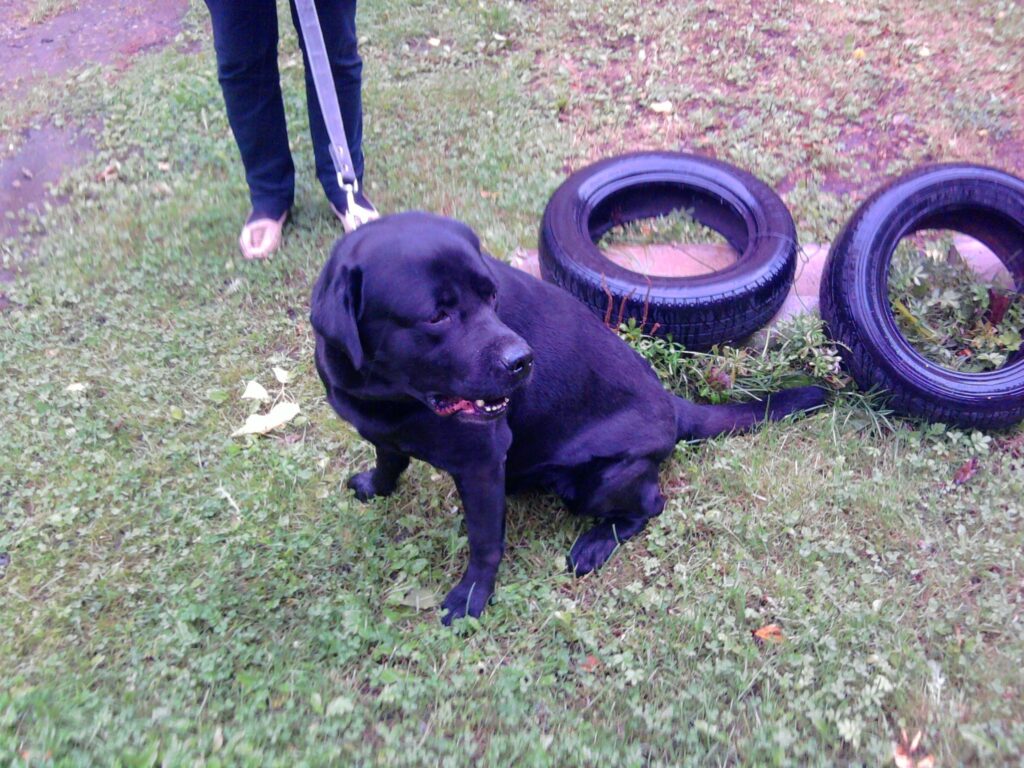 Autors: Inga Žarikova