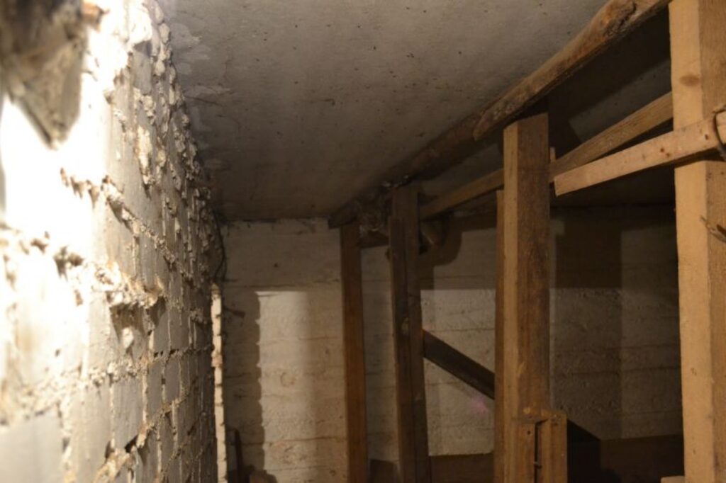 Autors: No personīgā arhīva