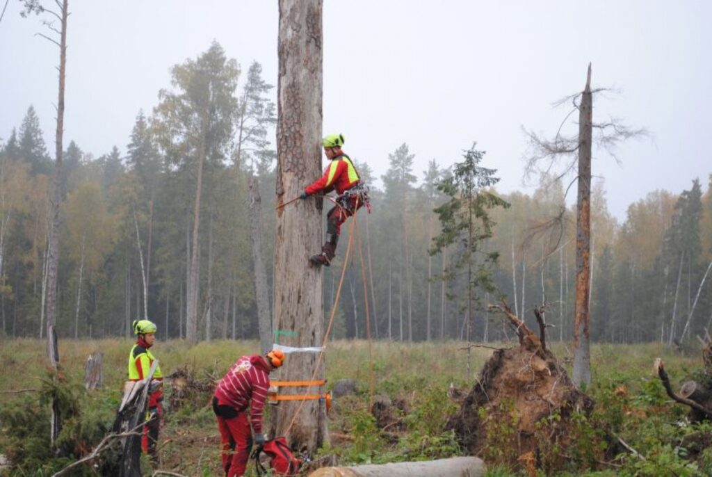 Autors: Sandra Pētersone