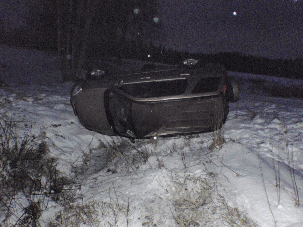 Autors: Vidzemes RPP