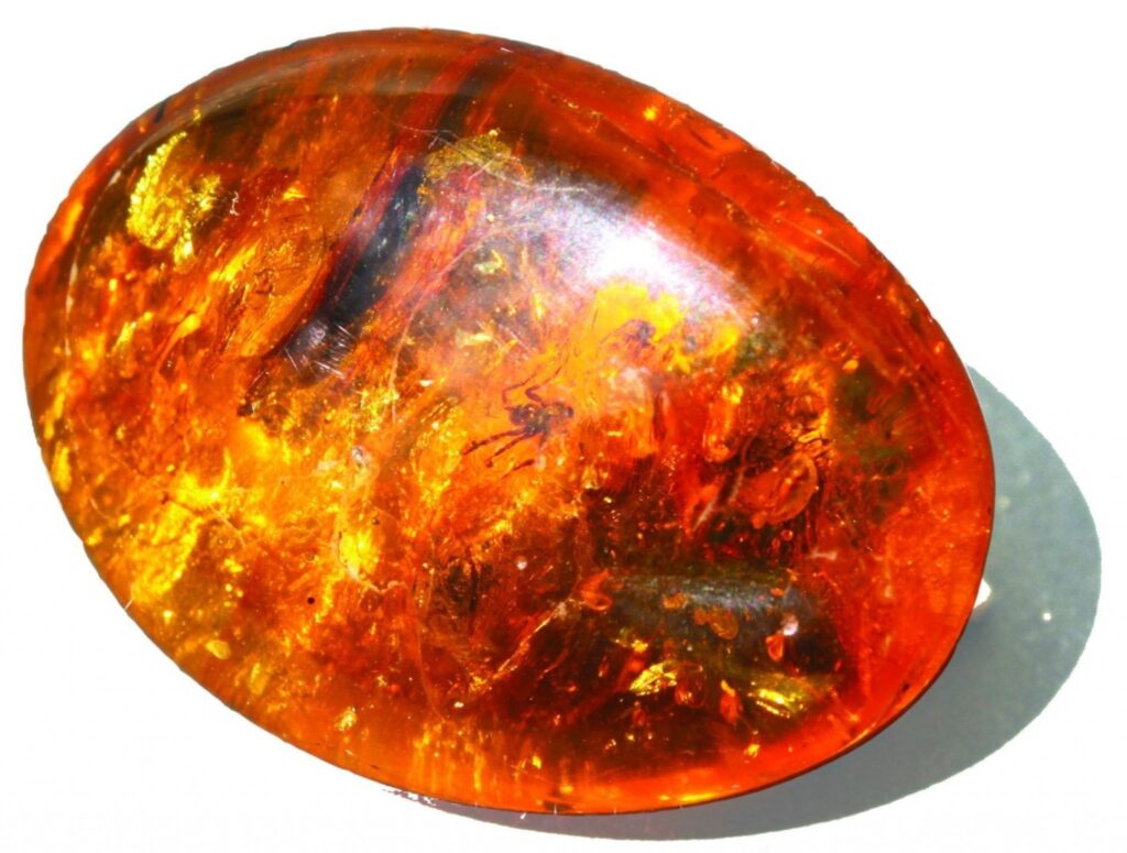 Autors: publicitātes foto