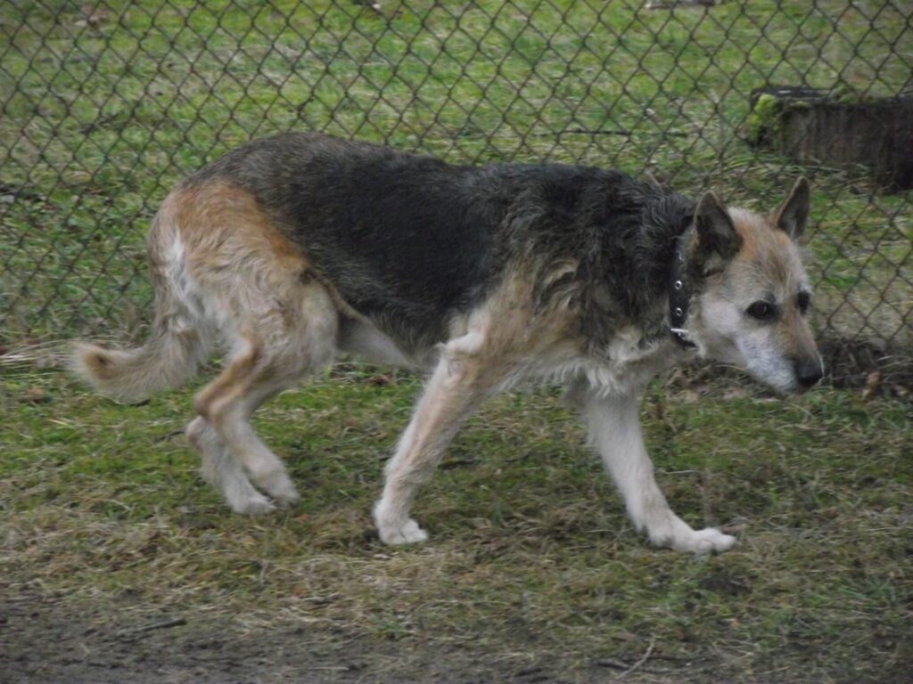 Autors: publicitātes foto