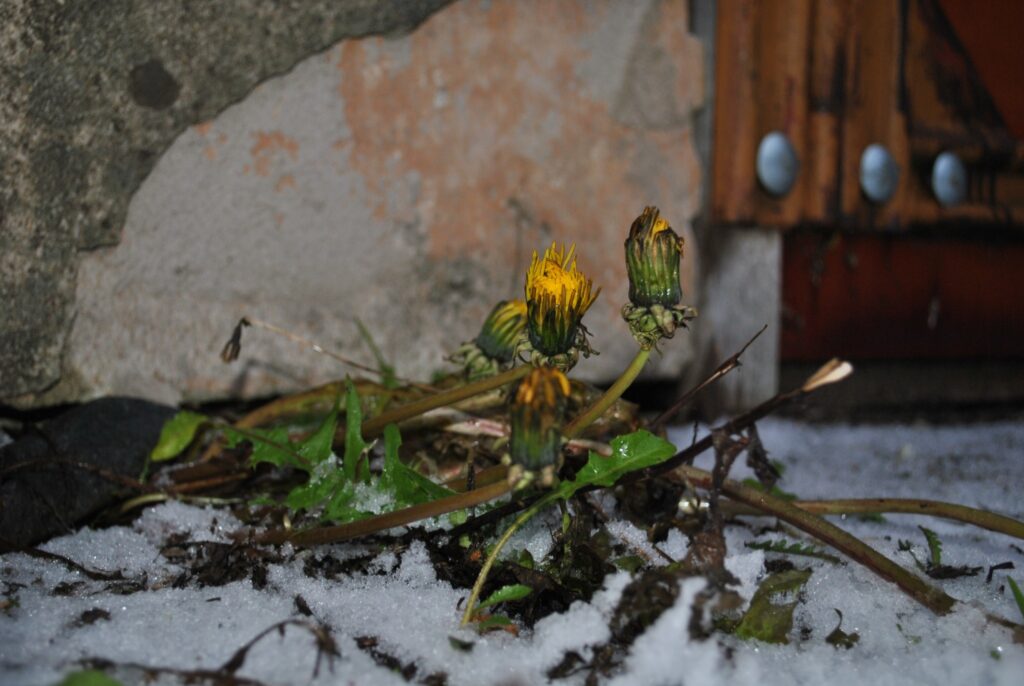 Autors: Sandra Pētersone