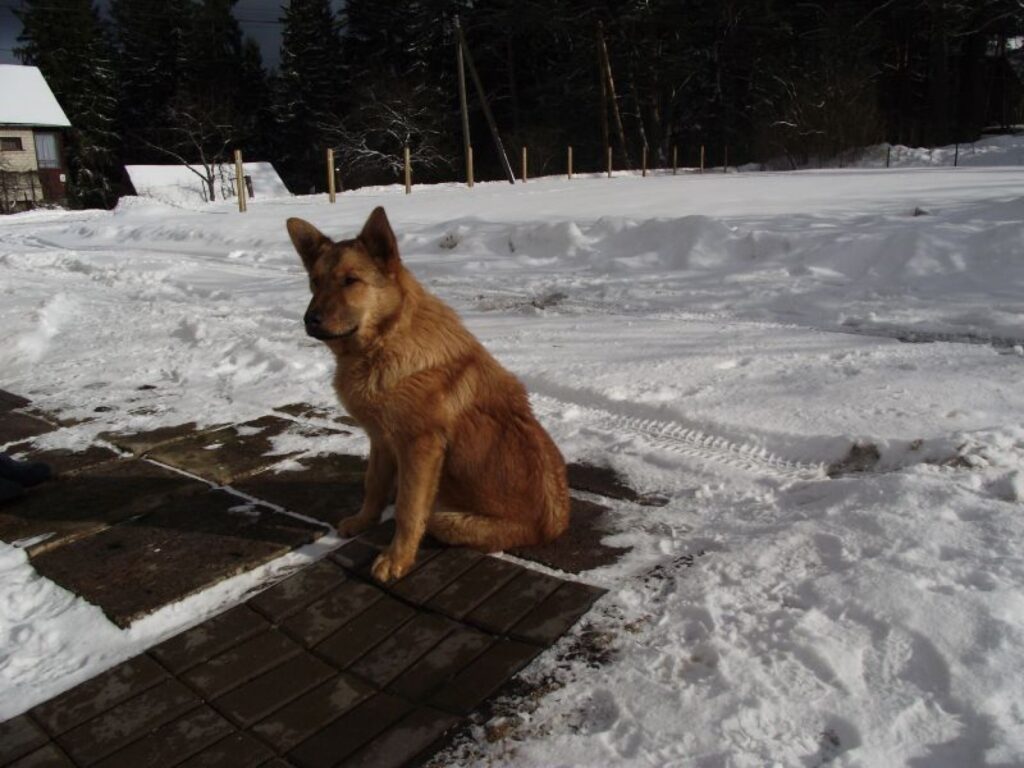 Autors: publicitātes foto