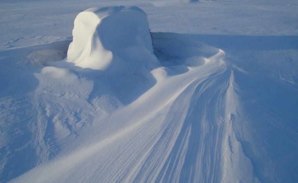 Autors: Sarmīte Ozola