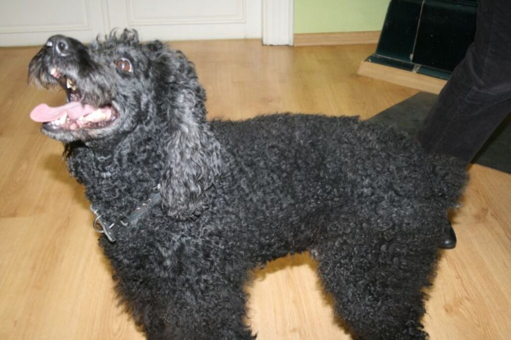 Autors: Aivars Zilbers