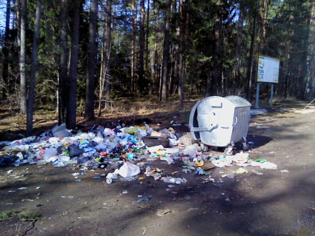 Autors: Mārtiņš Skrastiņš