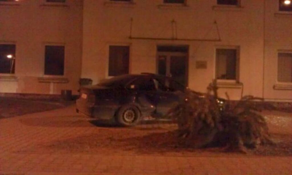 Autors: lietotāja foto