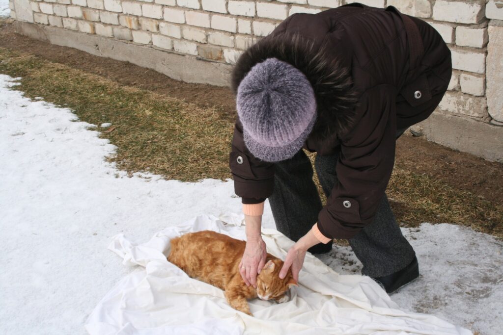 Autors: Inga Karpova