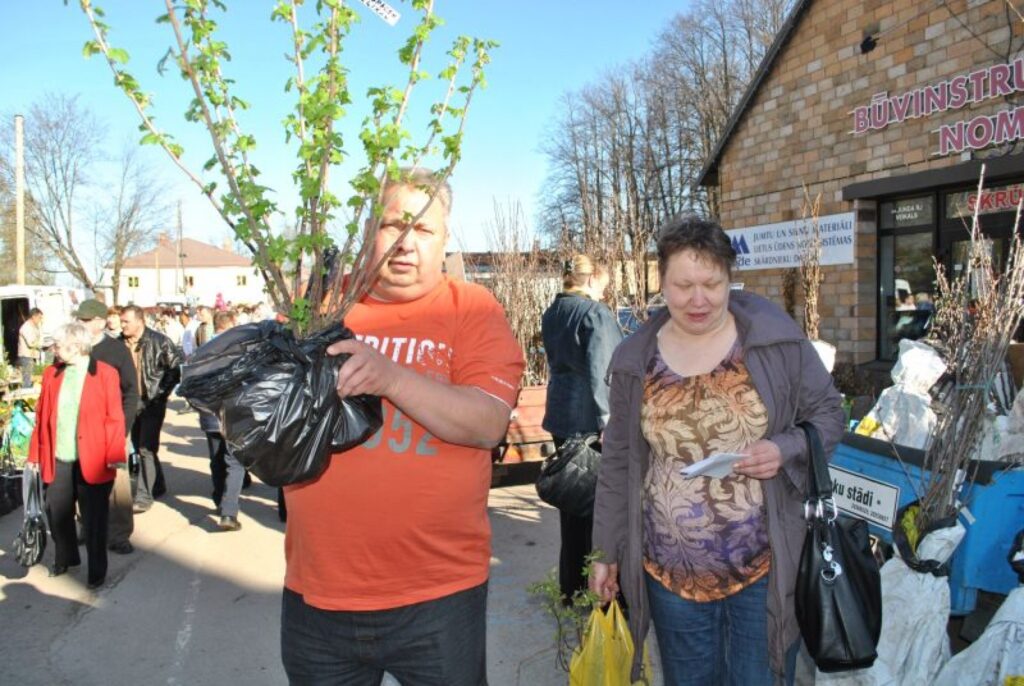 Autors: Sandra Pētersone