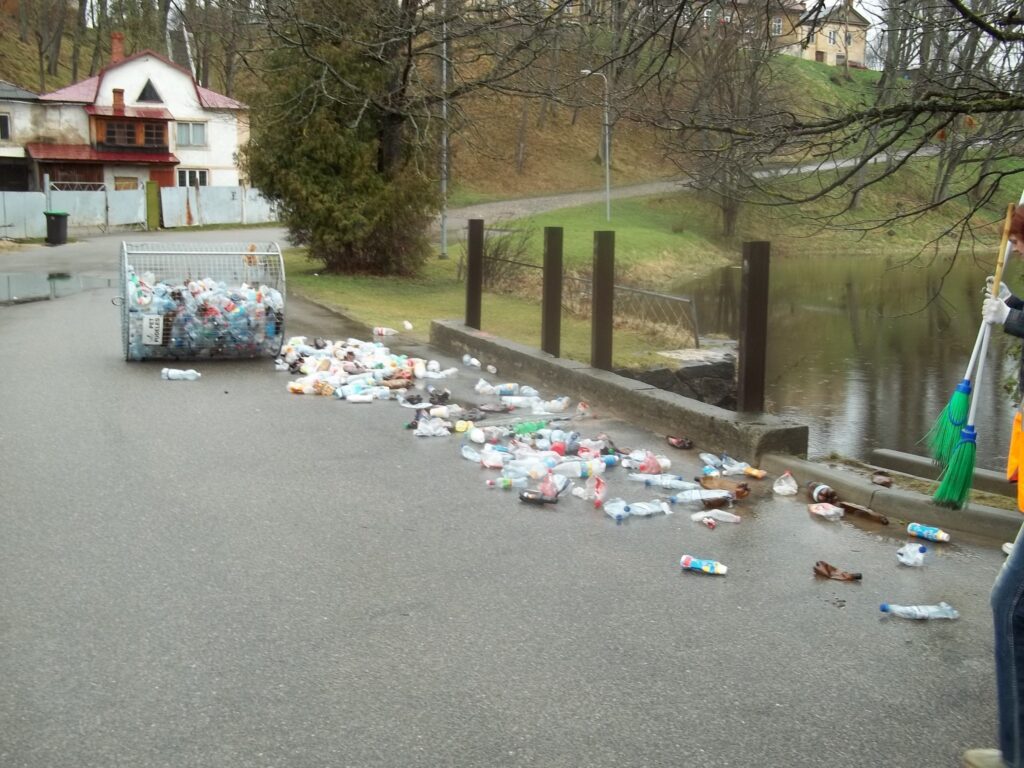 Autors: Ziedonis Paeglis