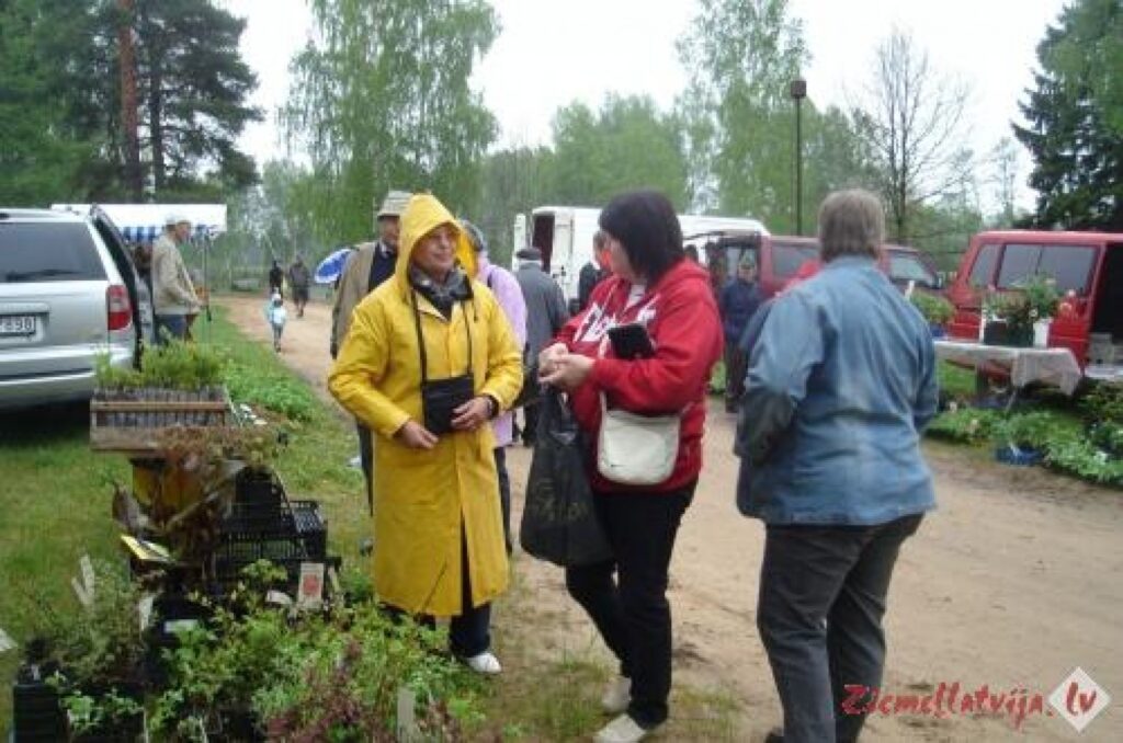 Autors: ziemellatvija.lv