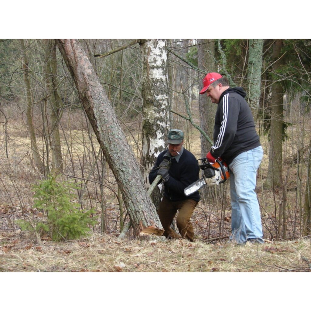Autors: Santa Sinka korespondente