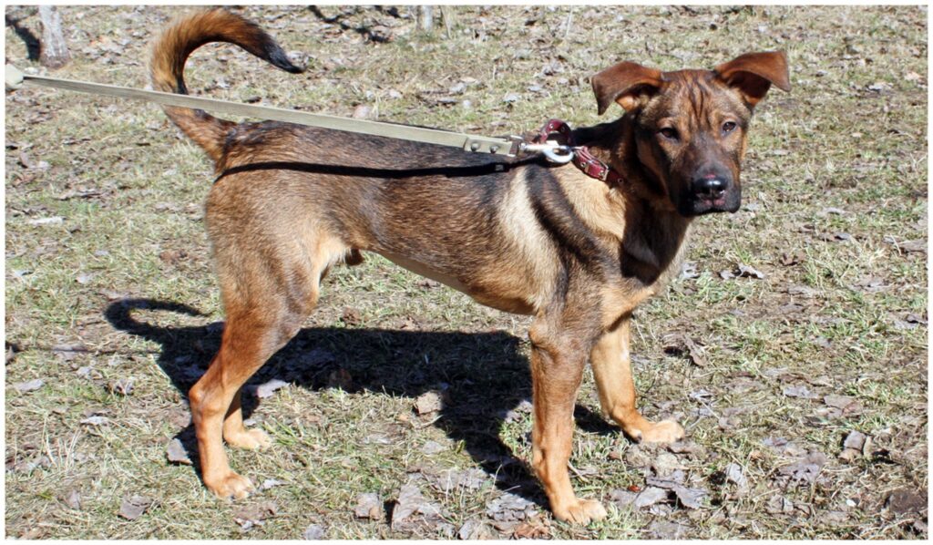 Autors: publicitātes foto