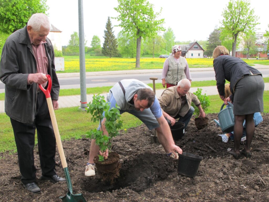 Autors: Aldis Dubļāns