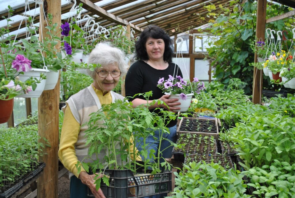 Palsmaniete Milija Elstiņa (priekšplānā) uzsver, ka galvenais ir tomātu stādus  iestādīt laikā, kamēr  tie nav izstīdzējuši, un pēc tam rūpīgi uzpasēt. “Kalnagrīvu” saimniece Sarmīte Mašina (no labās) ar savu ģimeni šopavasar divtik paplašinājusi stādu audzēšanu.
Autors: Sandra Pētersone