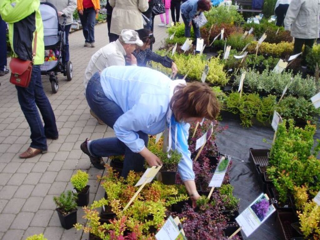 Autors: publicitātes foto