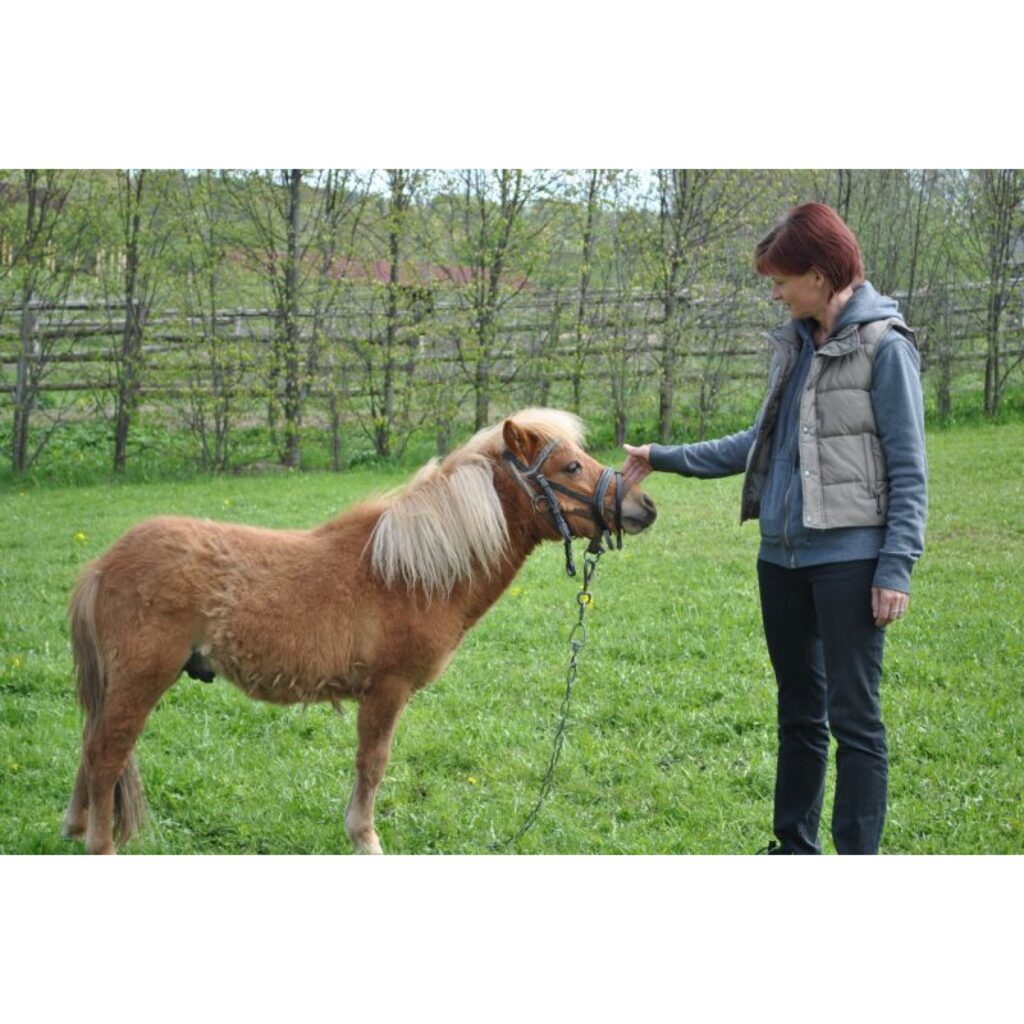 Autors: Sandra Pētersone korespondente