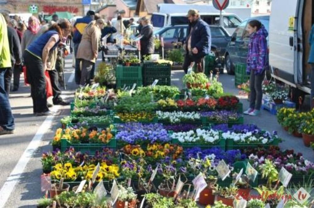 Autors: Sandra Pētersone