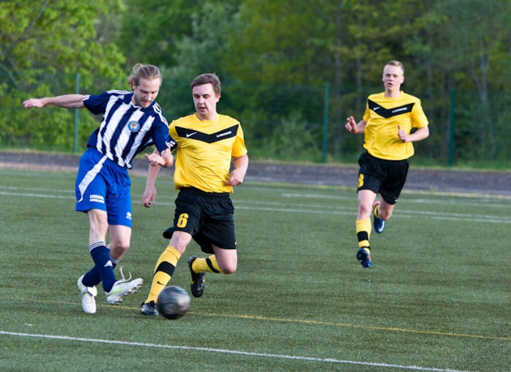 Autors: Agnis Melderis