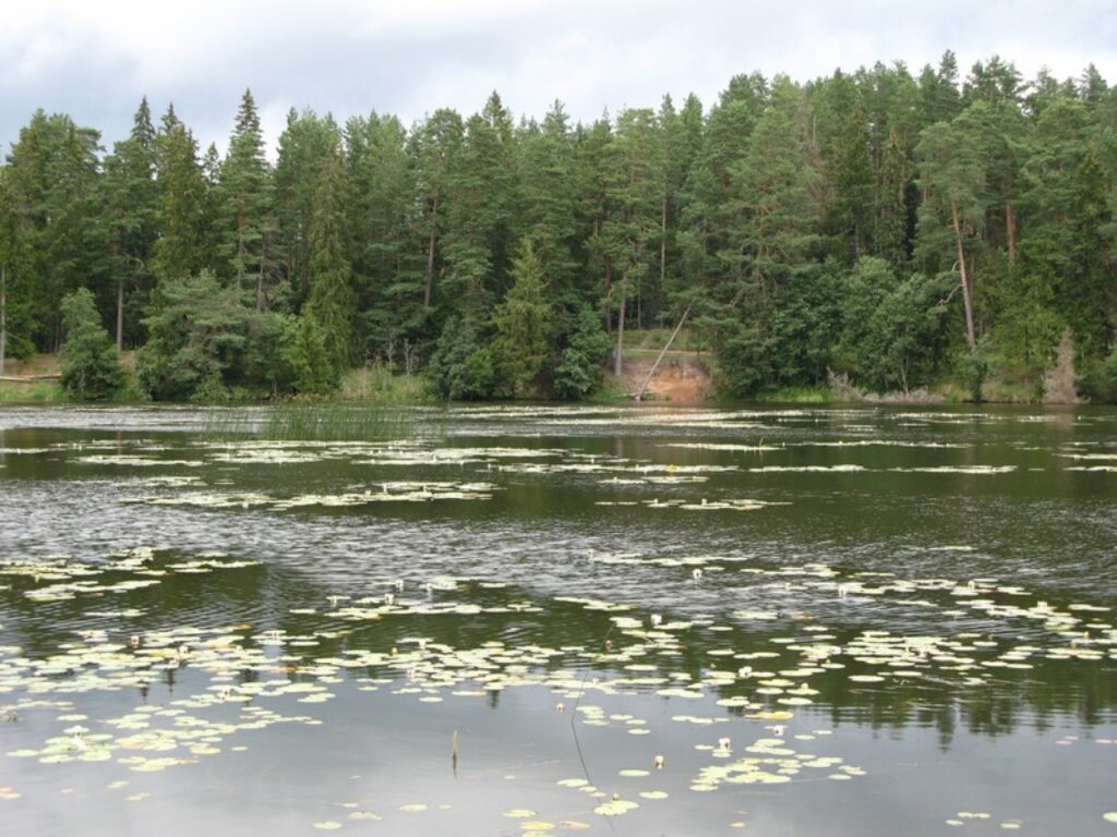 Autors: Valkas novada pašvaldība