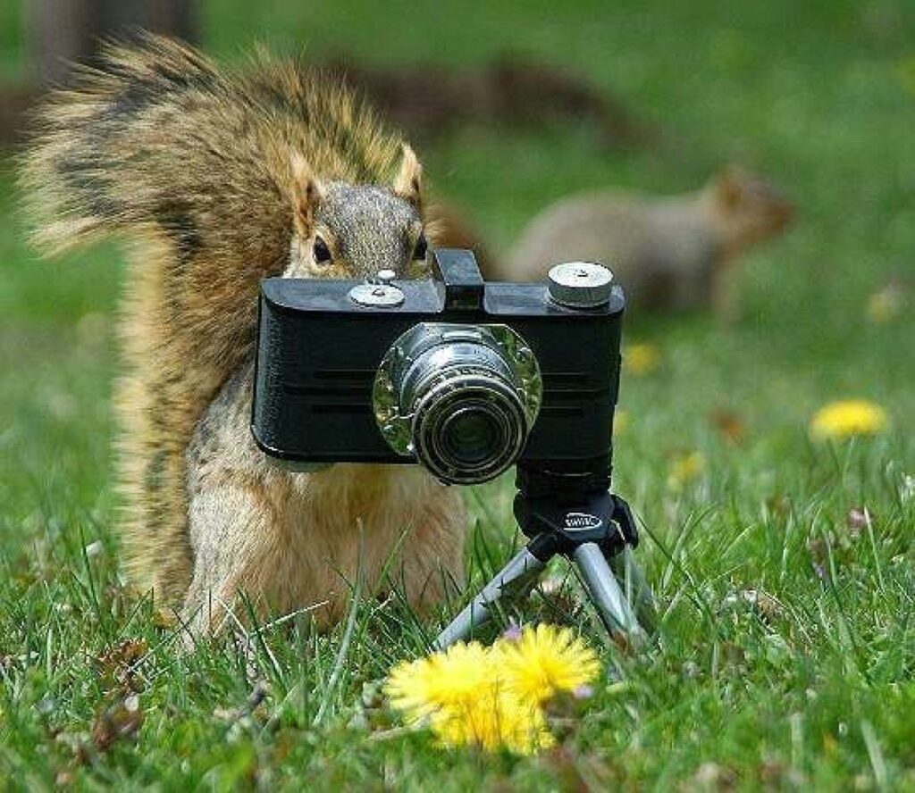 Autors: http://foto.krabjiem.lv