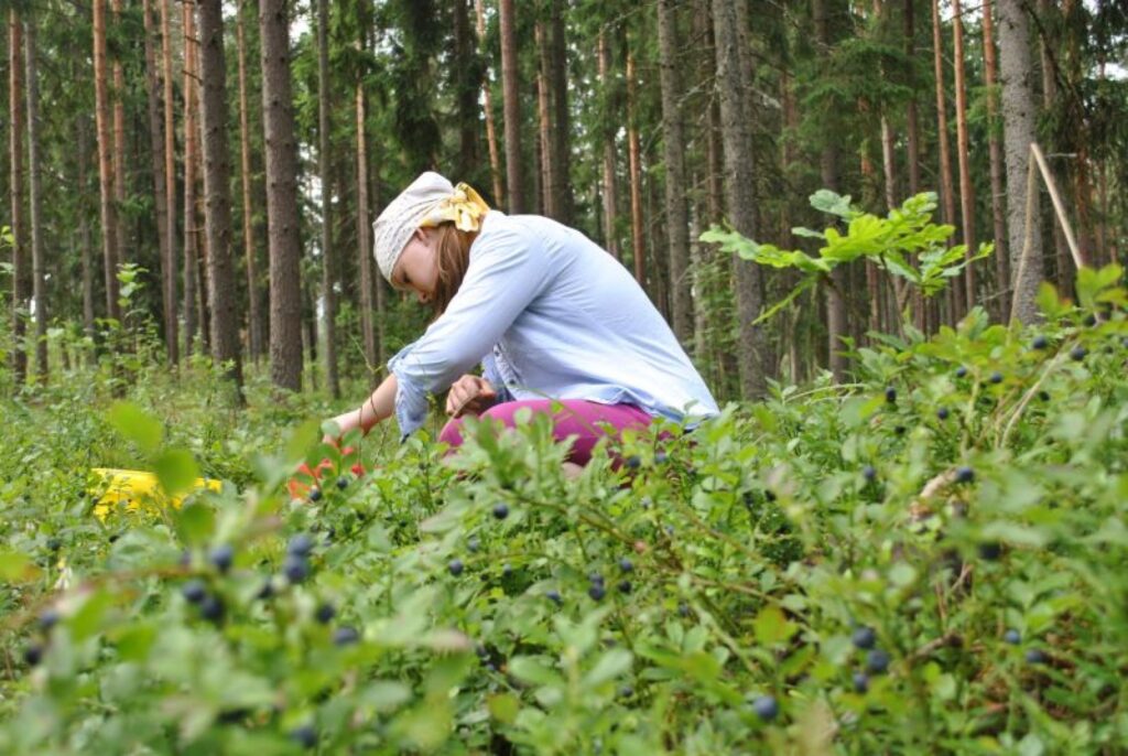 Autors: Madara Mūrniece