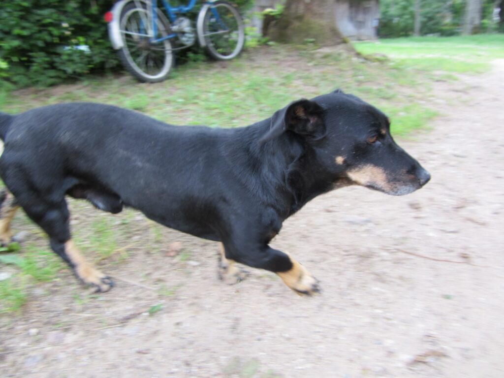 Autors: lietotāja foto