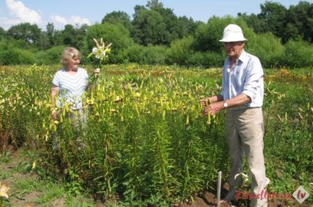 Autors: ziemellatvija.lv