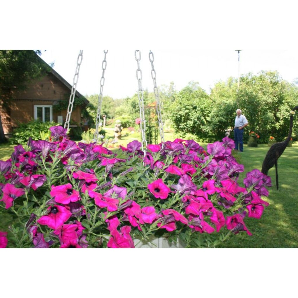 Autors: Aivars Zilbers korespondents