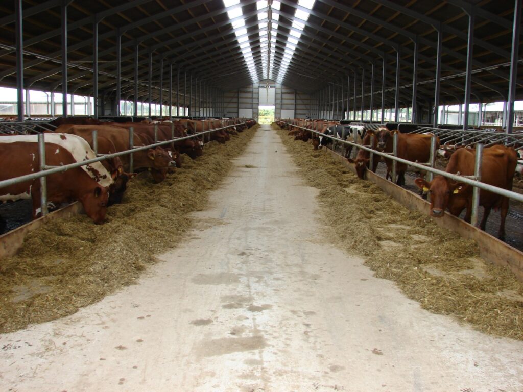 Autors: Sandra Pētersone