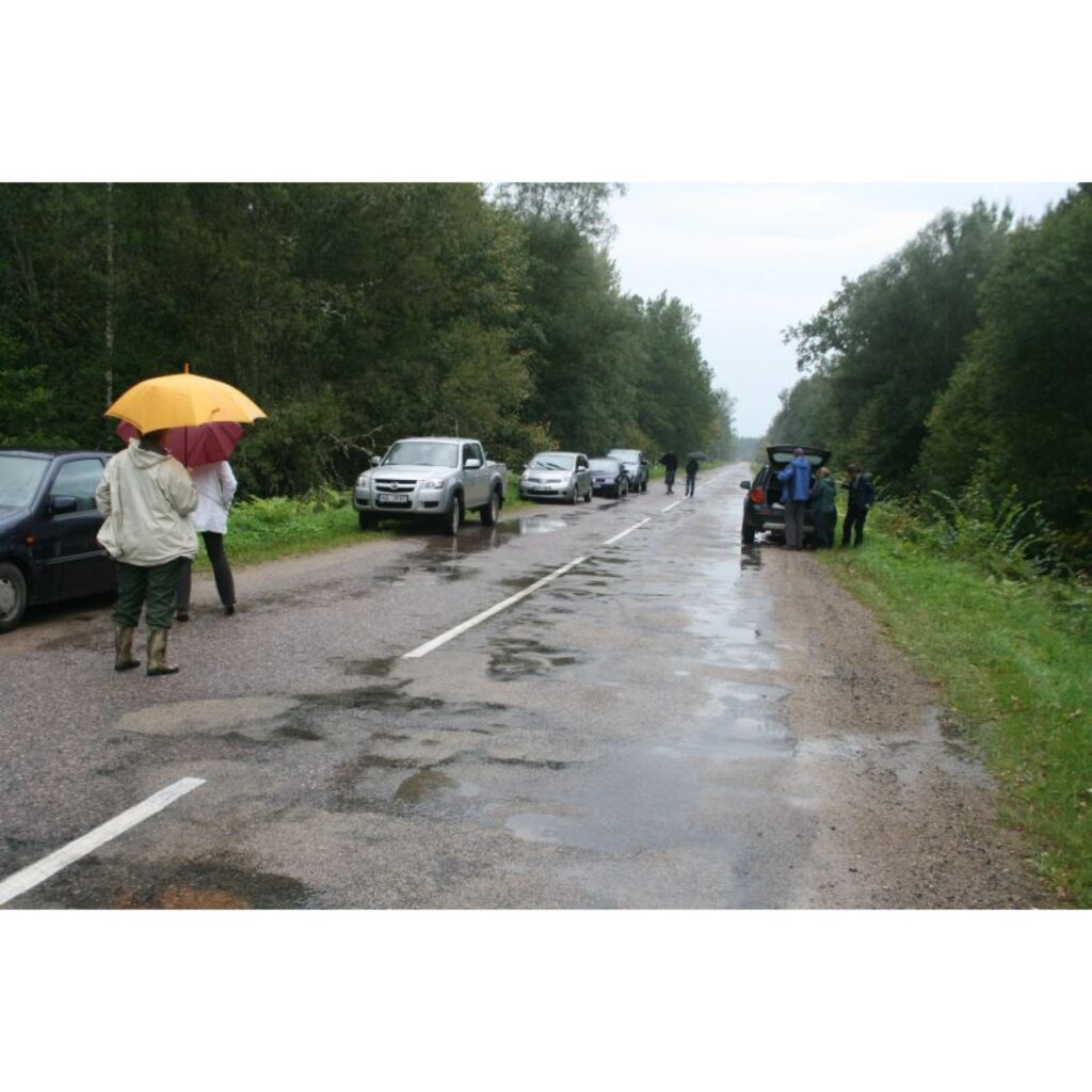 Autors: Aivars Zilbers korespondents