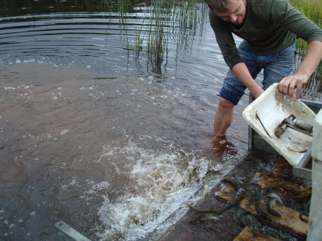 Autors: publicitātes foto