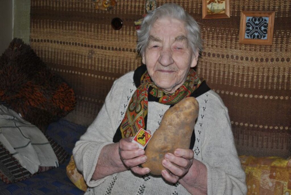 “Ja es būtu 10 gadus jaunāka, tad stādītu zemē sēklai,” par ciemakukulī atnesto milzīgo kartupeli sajūsminās smilteniete Nelda Balode.
Autors: Sandra Pētersone