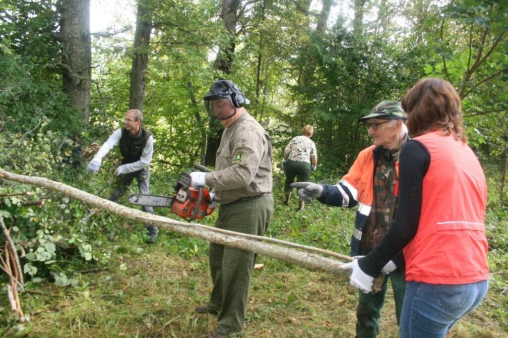 Autors: Aivars Zilbers