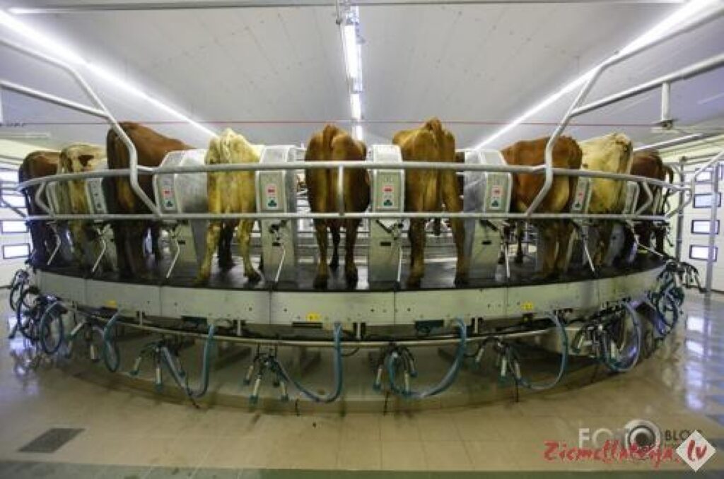 Autors: Mārtiņš Taube