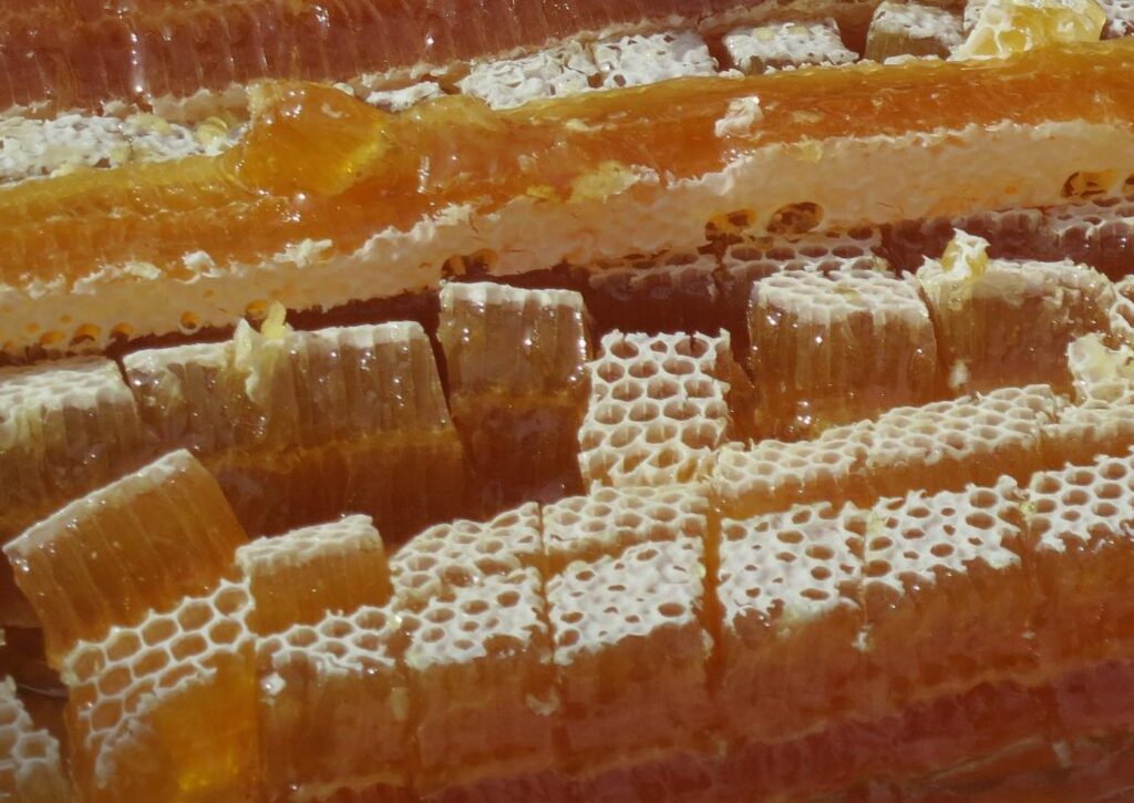 Autors: Latvijas Biškopības biedrība 