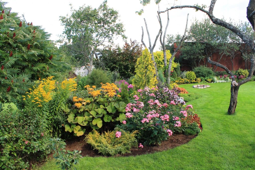 Pilsētas „odziņa